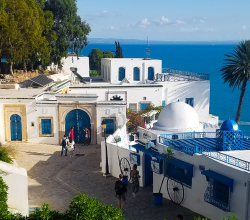 infolettre-juillet_tunisie-4